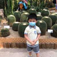 【 充滿兒時回憶的公園 】香港公園