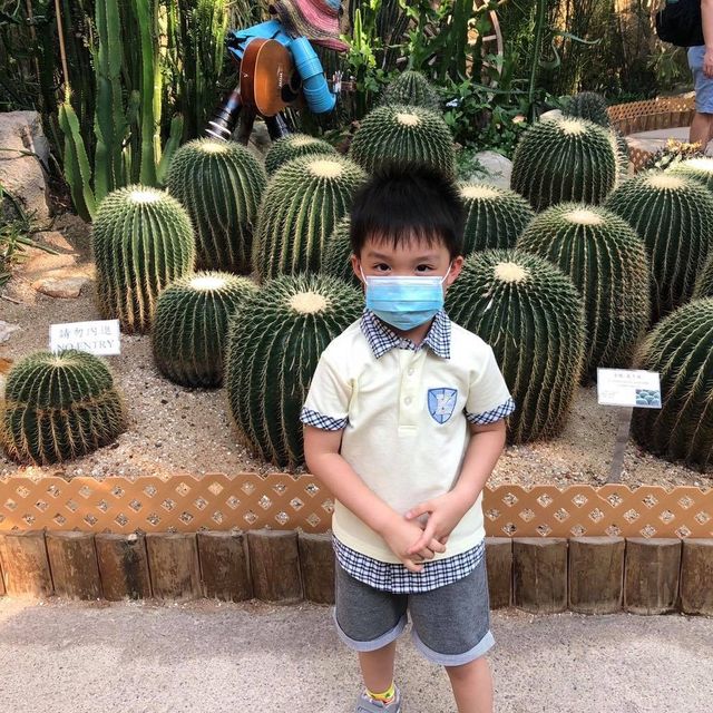 【 充滿兒時回憶的公園 】香港公園
