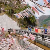 旅行|花桃の里(長野県阿智村)