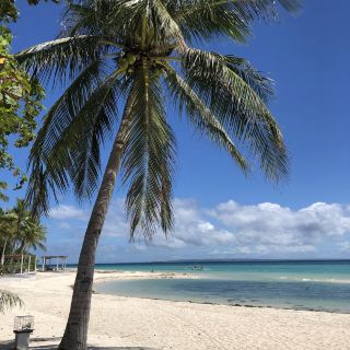 KOTA BEACH with & Mini Sandbar (Resort Hopping)
when you vidit the place, there’s an entrance of P50 per head among visitors who are not checked in. But this can be waived when you eat in their restaurant. And sometimes, some staff are generous enough to allow guests to enter with no entrance fees and let them enjoy the beach.

With or without the entrance fee, you will never regret visiting this paradise. Because surely, your Bantayan experience won’t be complete without this.

location: F. Duarte St, Santa Fe, Cebu

#urbanexplorer #summervacation 
 #urbanexplorer #hotelstay 
 #beachvacation 
#summervacation#beachvacation#hikingtrails#hotelstay#urbanexplorer