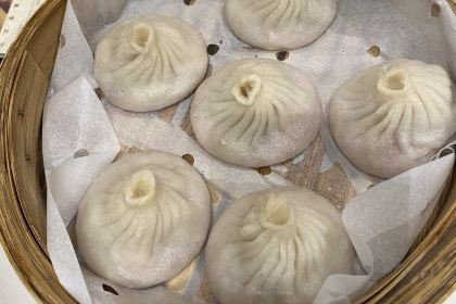 Shanghai You Garden 上海豫园