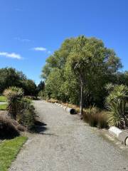 Northbrook Wetlands