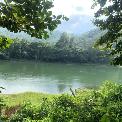 오키드 히비커스 게스트 하우스 후기