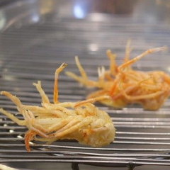 Tempura Yamanoue 여행 사진
