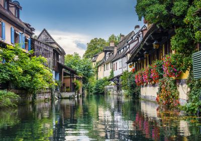 Colmar