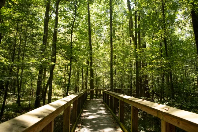 Family Friendly Hotels in North Myrtle Beach