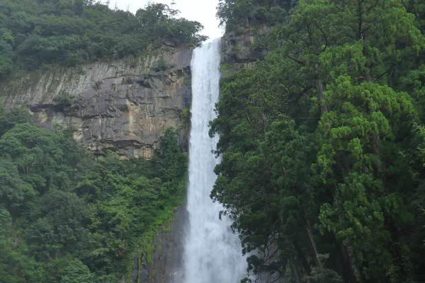 匹茲堡 飛 白濱