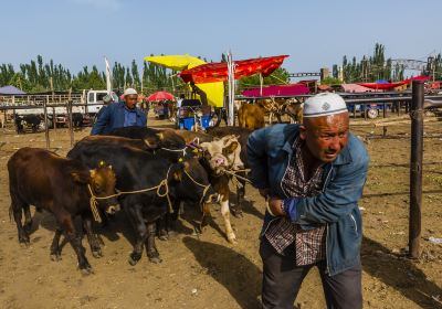 Kashgar Grand Bazaar