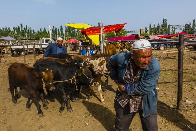 tiket pesawat ke Kashgar Flynas