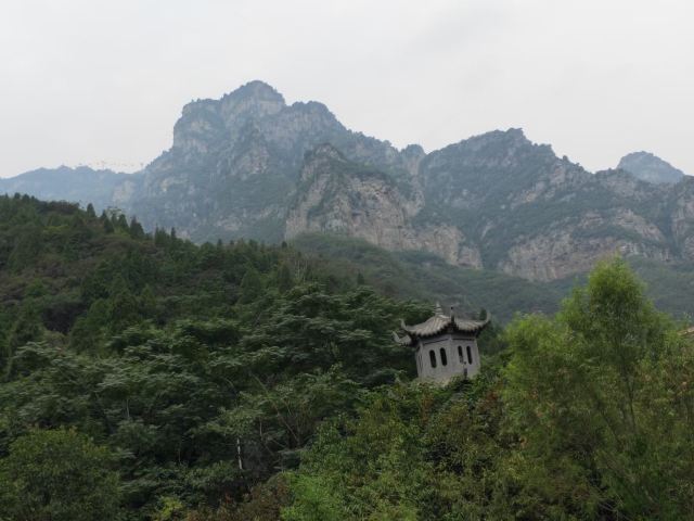 션농샨