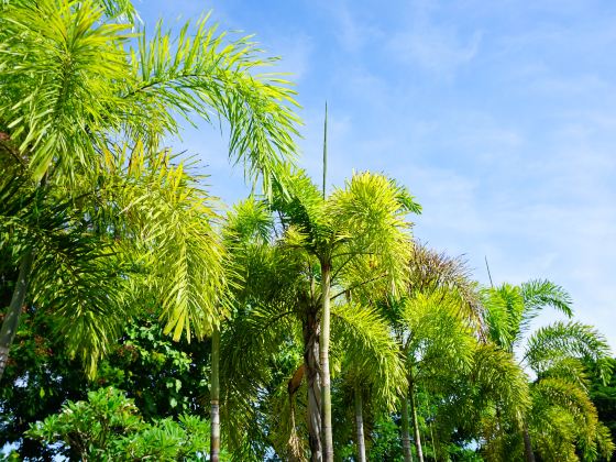 Xinglong Tropical Botanical Garden