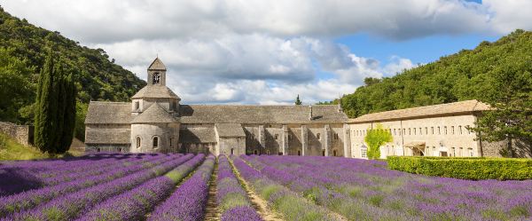 Abbaye Notre-Dame de Senanque