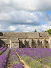 Abbazia di Sénanque