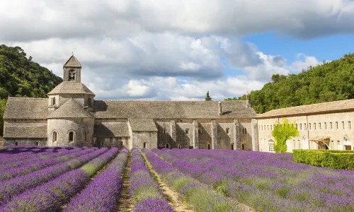 Abbaye Notre-Dame de Senanque