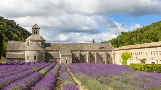 Abbazia di Sénanque