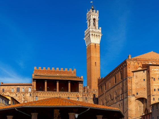 Palazzo Pubblico and Museo Civico