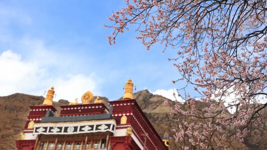 帕邦喀宫位于西藏自治区拉萨市北郊约8公里处的乌都日（宝伞山）