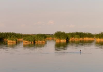 Старый город Шаху