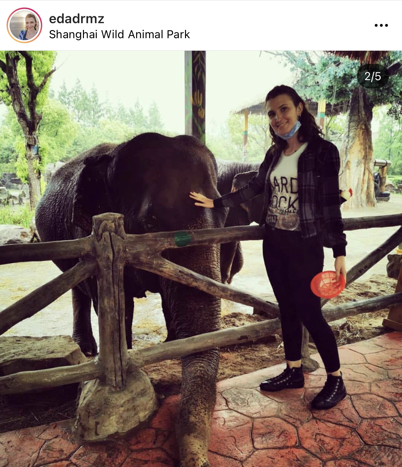 Shanghai Wild Animal Park Travel Guidebook Must Visit Attractions In Shanghai Shanghai Wild Animal Park Nearby Recommendation Trip Com