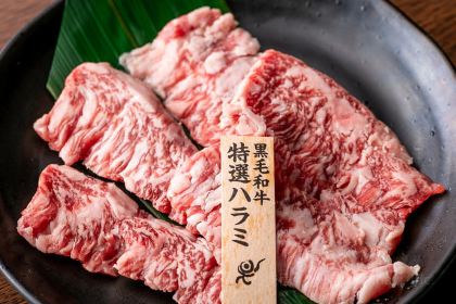 Gyu SHIGE Musashikoganeiten