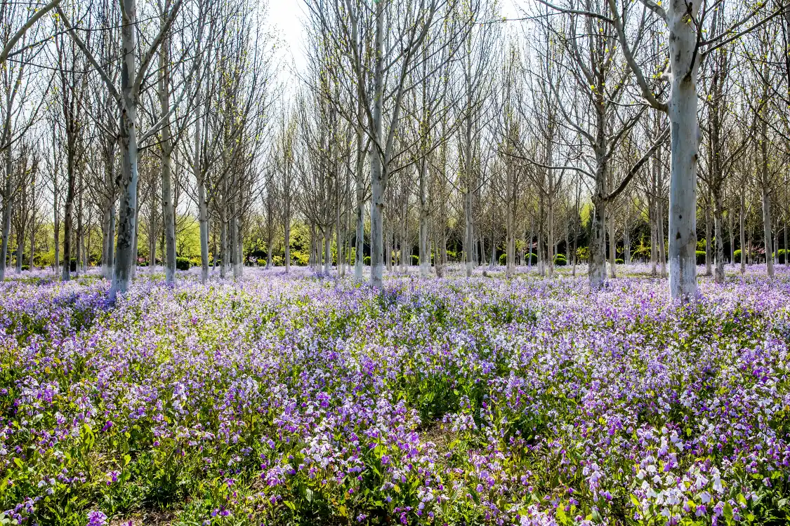 단칭푸 공원 주변 호텔