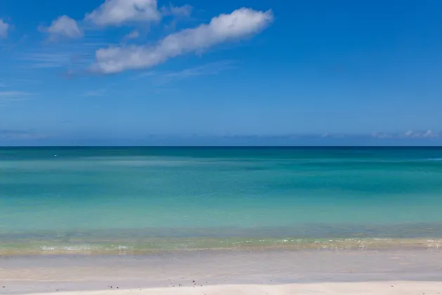 Хоумстей в г. Пиккадилли