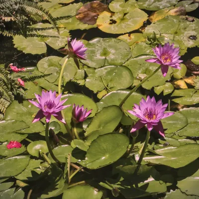 2-звездочные отели в г. Антиполо