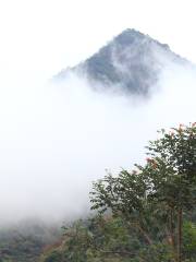Национальный лесной парк Лян Чунг Гуандун