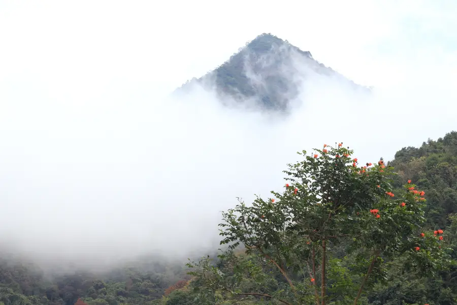 มณฑลกวางตุ้ง Lianghua อุทยานแห่งชาติ