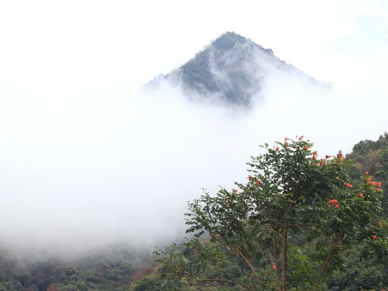 Guangdonglianghua National Forest Park