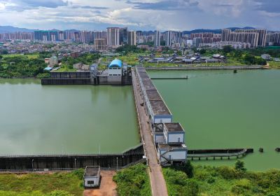 東江画廊