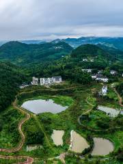 위펑산 삼림공원