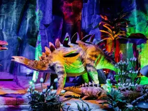 自貢的熱門夜間人氣景點