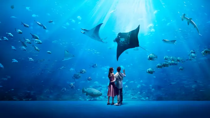 5_Singapore Oceanarium