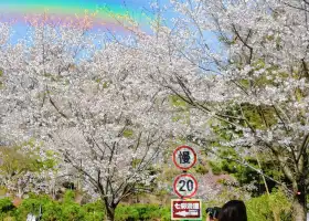 綠野歡樂谷