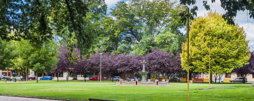 Robertson Park