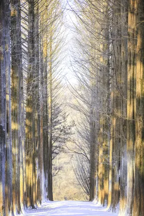 Отели рядом с достопримечательностью «Канвонский национальный университет»