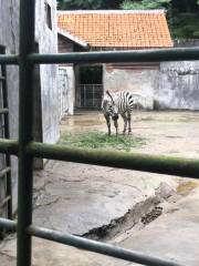 Zunyi Zoo （Northwest Gate 1）