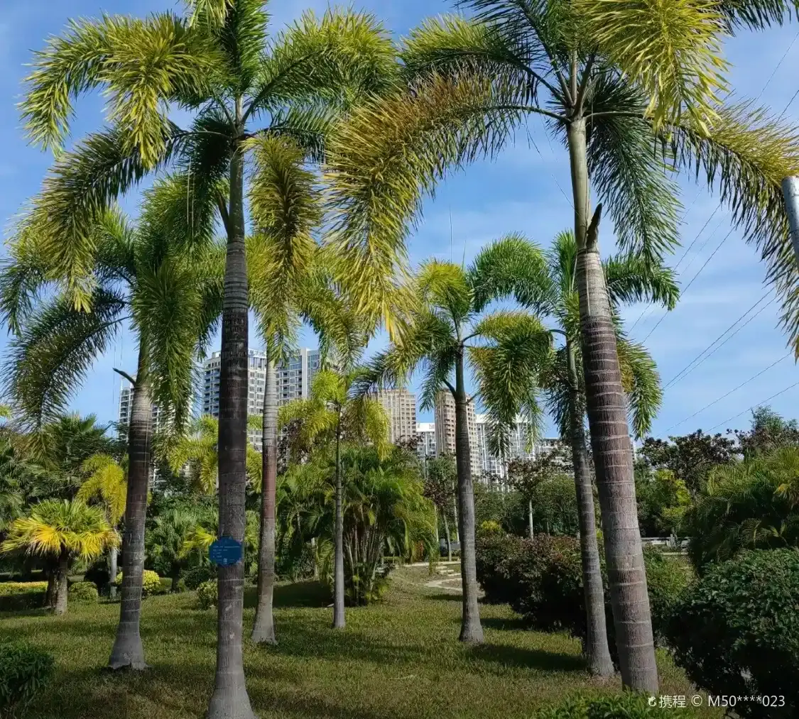 Hotels near Jinjiling Park
