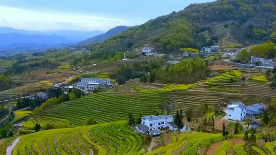 Ming and Qing Dynasty Ancient Terraces