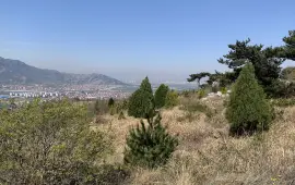 雲林華山