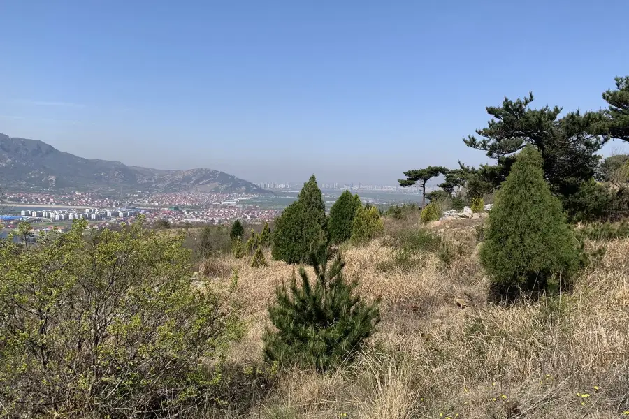 雲林華山