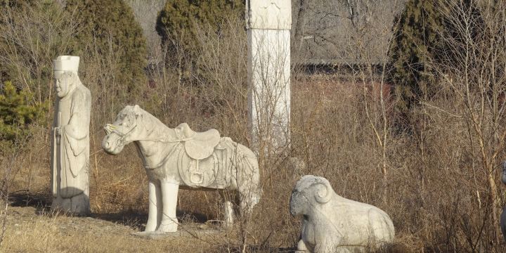 Mao Ji's Cemetery