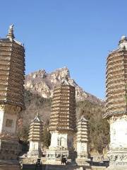 Yinshan Pagoda Forest