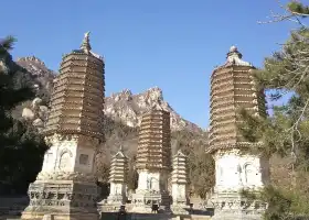Yinshan Pagoda Forest