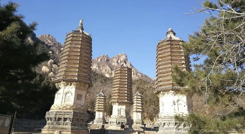 Yinshan Pagoda Forest