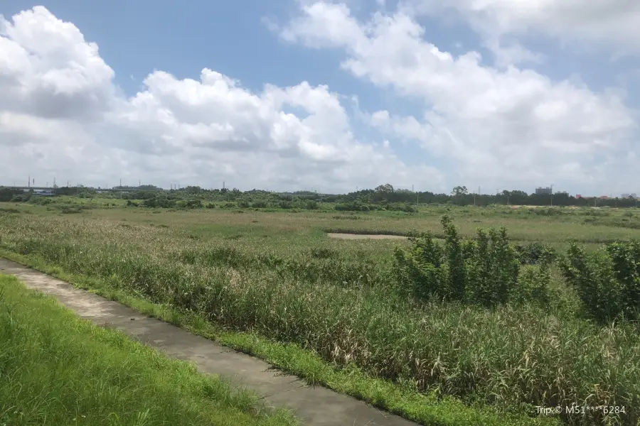 Fangchenggang Wetland Park