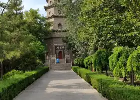 Haifeng Tower