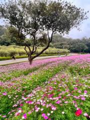 東莞桂花園