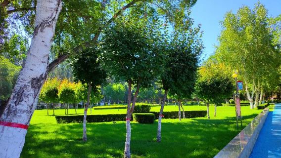 West Park